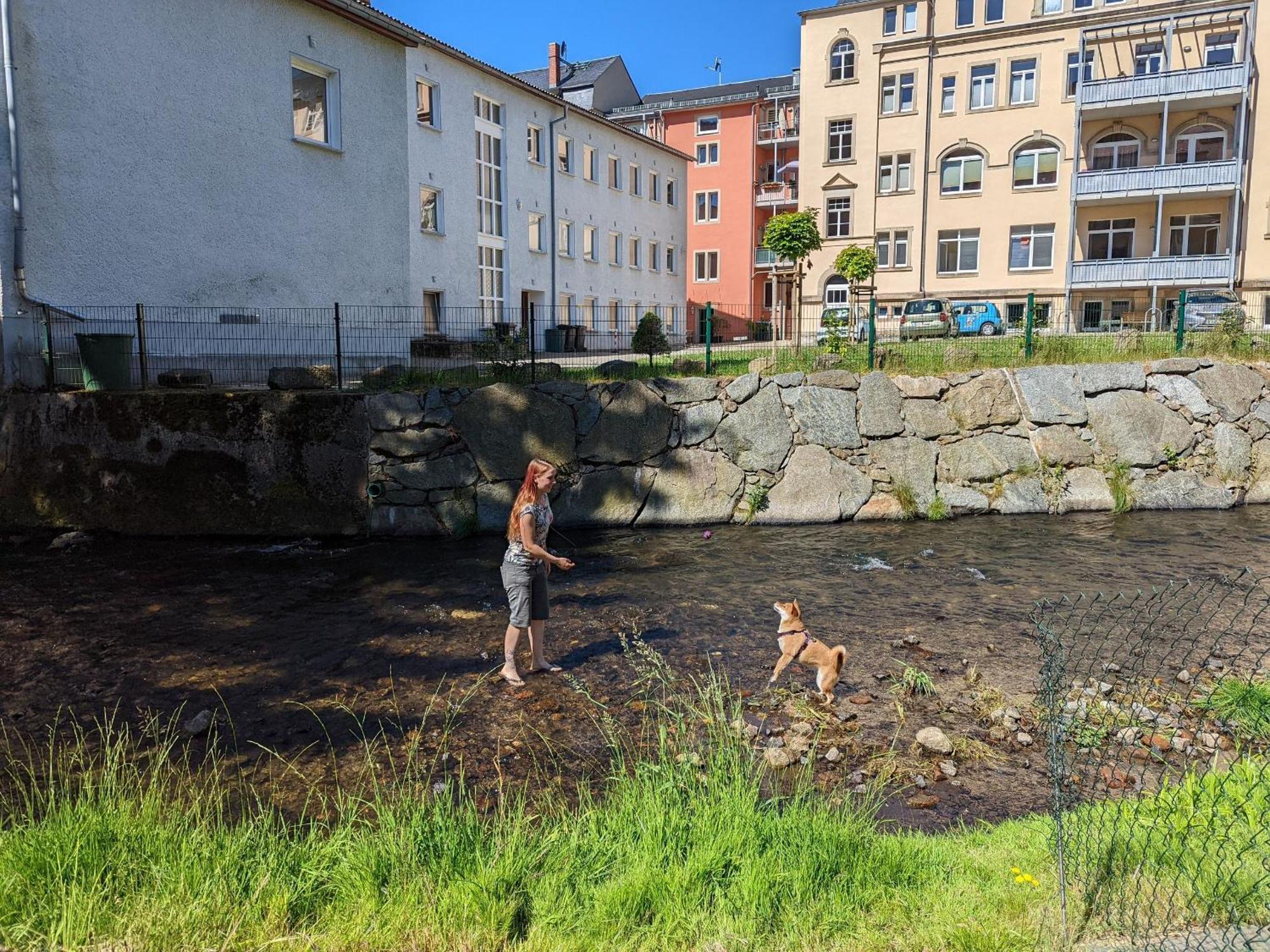F2 - Urlaubsmagie Sauna, Whirlpool, Pool & Garten Sebnitz Exterior photo
